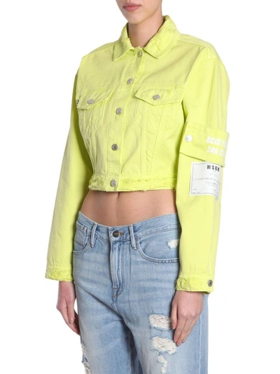 Shop Msgm Denim Cropped Jacket In Giallo