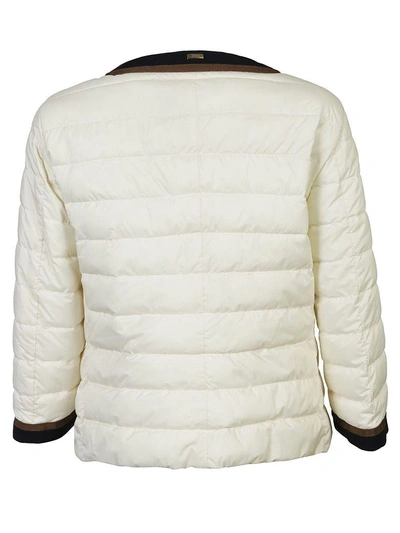 Shop Herno Cropped Jacket In Bianco-nero