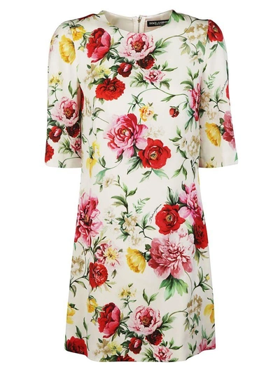Shop Dolce & Gabbana Floral Print Shift Dress In Cream