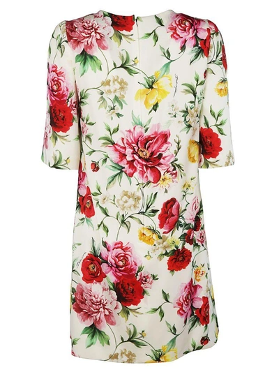 Shop Dolce & Gabbana Floral Print Shift Dress In Cream
