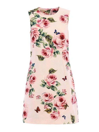 Shop Dolce & Gabbana Sleeveless A-line Dress In Hahrose-farfalle F.rosa