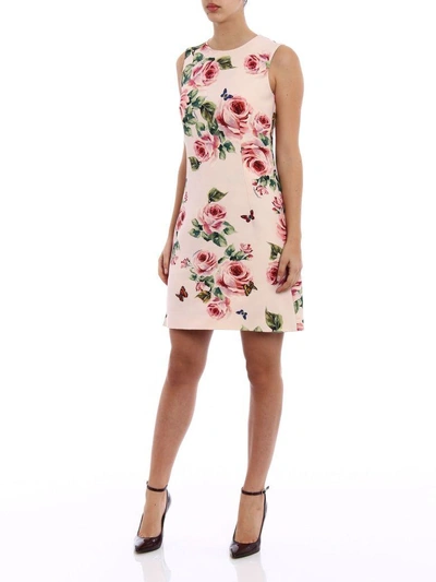 Shop Dolce & Gabbana Sleeveless A-line Dress In Hahrose-farfalle F.rosa
