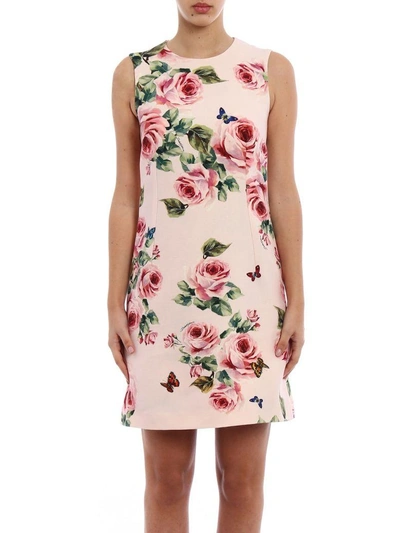 Shop Dolce & Gabbana Sleeveless A-line Dress In Hahrose-farfalle F.rosa