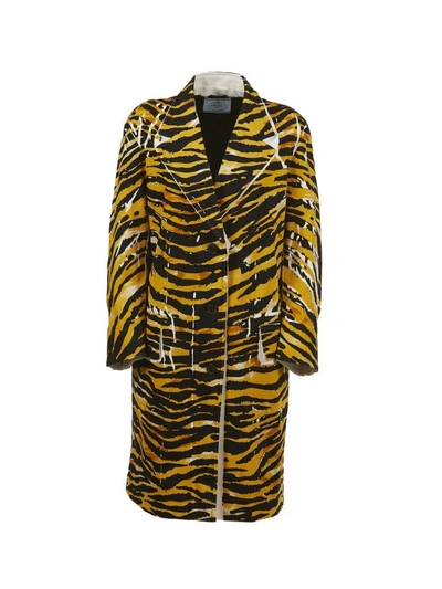 Shop Prada Tiger Print Coat In Nero Giallo