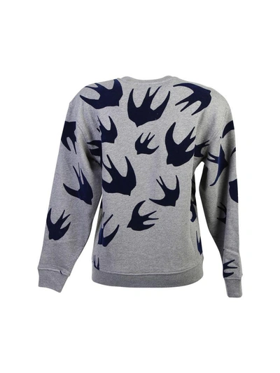 Shop Mcq By Alexander Mcqueen Velvet Swallows Cotton Sweatshirt In Grey