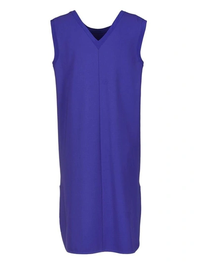 Shop Max Mara Sleeveless Dress In Bluette