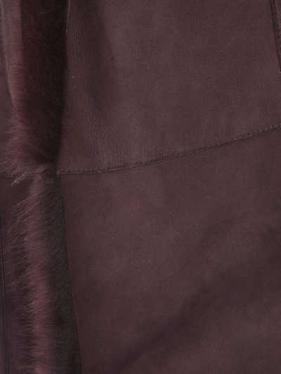 Shop Desa Montone M-l Cintura Pelo Raz In Plum