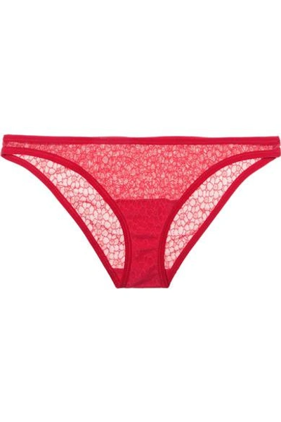 Shop Yasmine Eslami Lily Embroidered Stretch-tulle Briefs In Claret