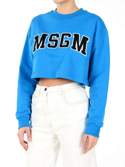 Shop Msgm Sweatshirt In Blue