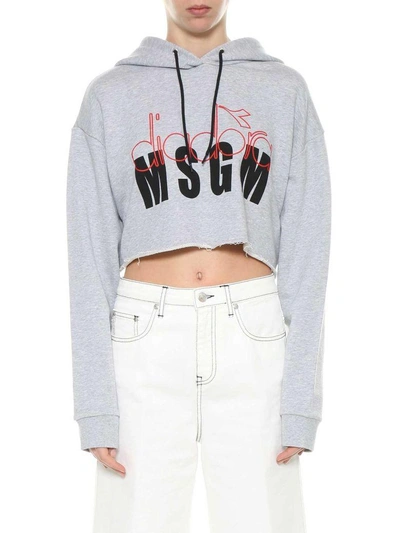 Shop Msgm Cropped Sweatshirt Diadora In Grigio