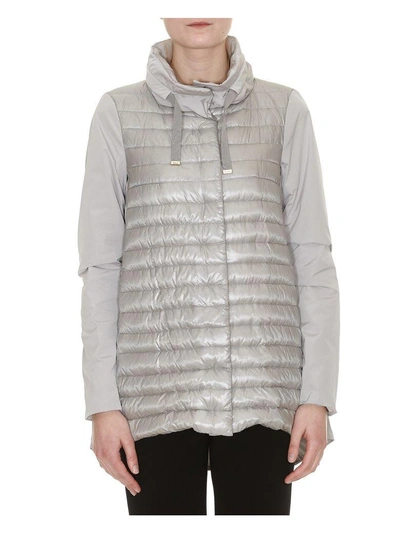 Shop Herno Down Jacket In Light Grey