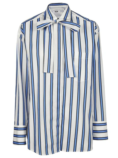 Shop Msgm Striped Shirt In Azzurro