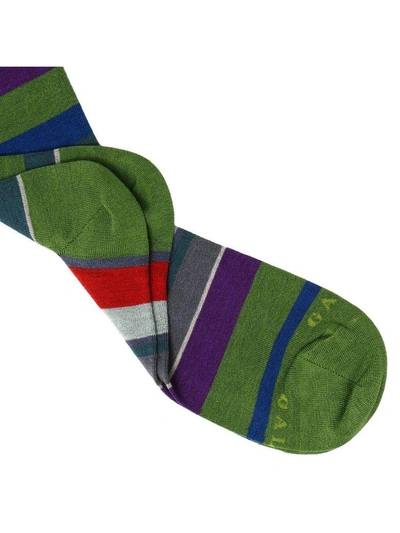 Shop Gallo Socks Socks Women  In Green