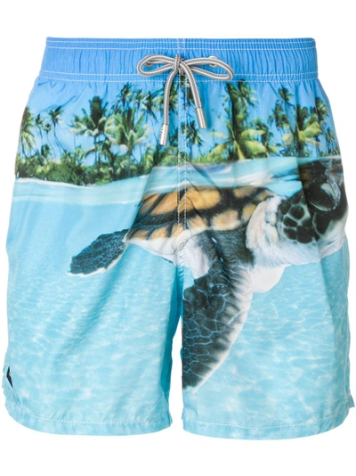 Shop Mc2 Saint Barth Turtle Print Swim Shorts
