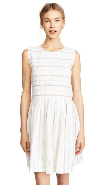 Shop Ace & Jig Daisy Dress In Ambrosia