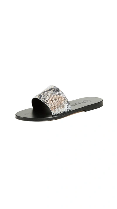 K jacques clearance arezzo slides