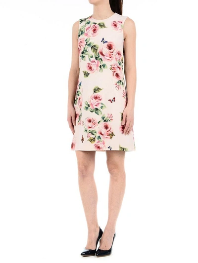 Shop Dolce & Gabbana Dolce E Gabbana Dress In Multicolor