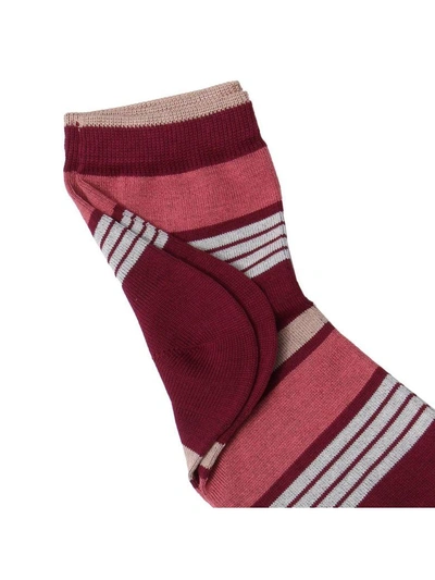 Shop Gallo Socks Socks Women  In Burgundy