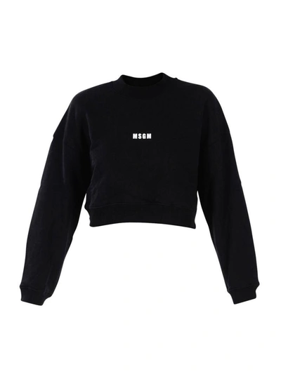 Shop Msgm Sweatshirt In Black