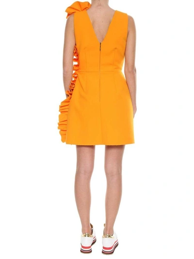 Shop Msgm Classic Short Dress In Arancio