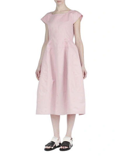 Shop Marni Cotton Dress In Cinder Rose