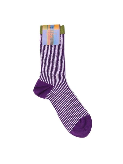 Shop Gallo Socks Socks Women  In Violet