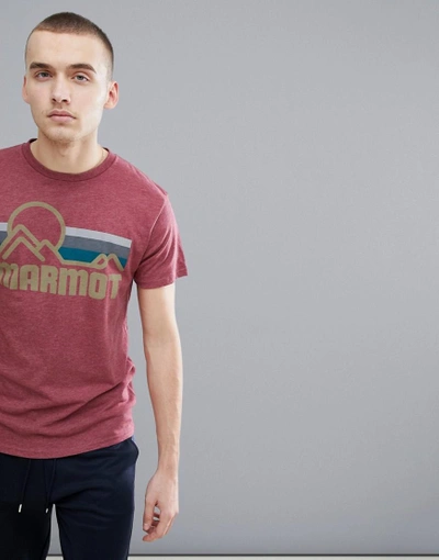 Shop Marmot Coastal T-shirt With Vintage Mountain Chest Logo In Burgundy - Red