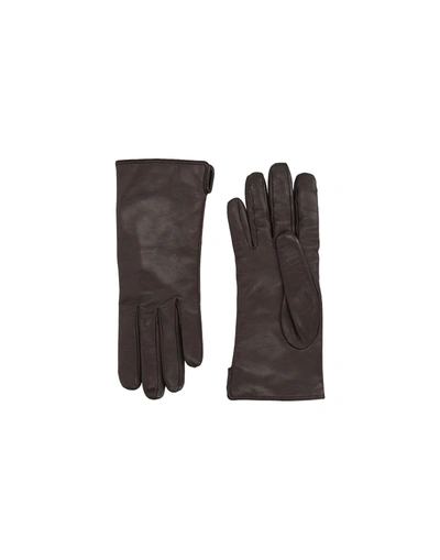 Shop Mario Portolano Gloves In Dark Brown