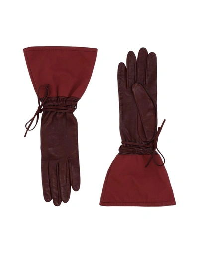 Shop Jil Sander Navy In Maroon