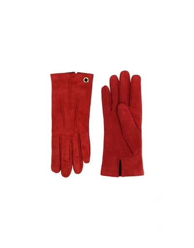 Shop Mario Portolano Gloves In Brick Red