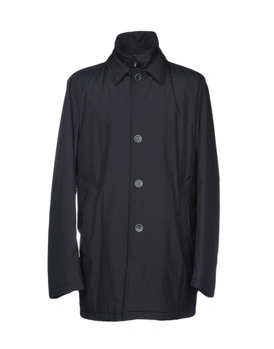 Shop Herno Man Coat Midnight Blue Size 44 Polyester, Cotton, Acrylic