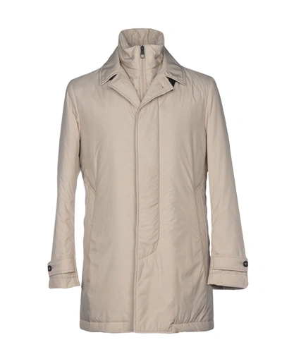 Shop Montecore Man Jacket Light Grey Size 46 Polyester