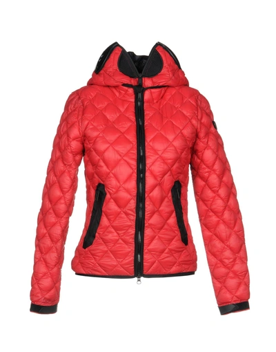 Shop Ai Riders On The Storm Synthetic Down Jackets In Red