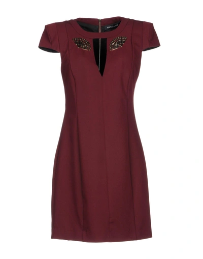 Shop Mangano In Maroon