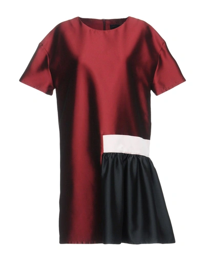 Shop Alessandro Dell'acqua Short Dress In Maroon