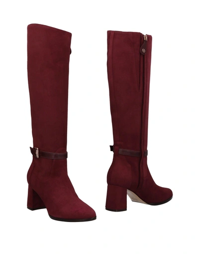 Shop Rodo Boots In Garnet