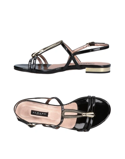 Shop Albano Sandals In Black