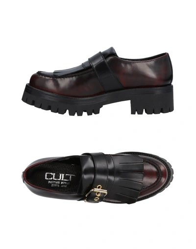 Shop Cult Loafers In Maroon