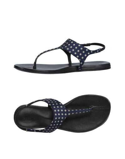 Shop Carritz Flip Flops In Dark Blue