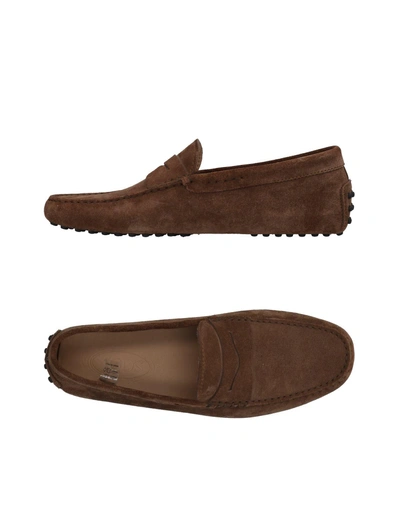 Tod's Gommino Suede Leather Loafers In Brown