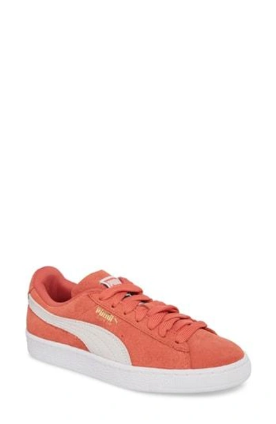 Shop Puma Suede Sneaker In Spiced Coral/  White