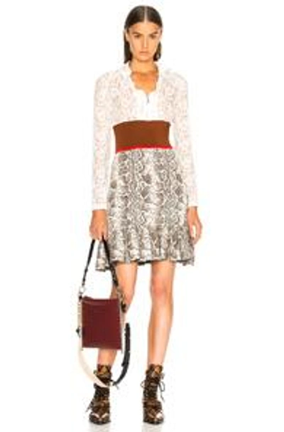 Shop Chloé Chloe Lace Top Mini Dress In Animal Print,red,white