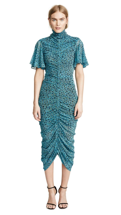 Dvf olivia clearance dress