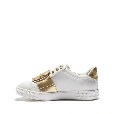 Shop Casadei Runners In White And Gold