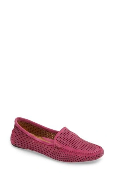 Shop Patricia Green 'barrie' Flat In Hot Pink Suede