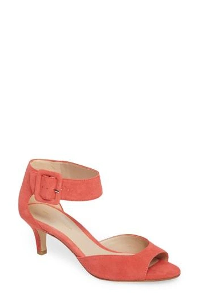 Shop Pelle Moda 'berlin' Ankle Strap Sandal In Flamingo Suede