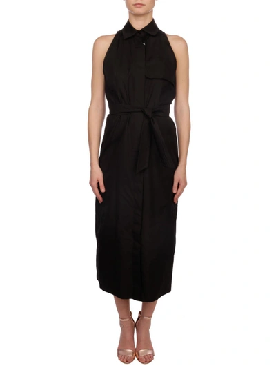 Shop Max Mara Cotton Dress In Black