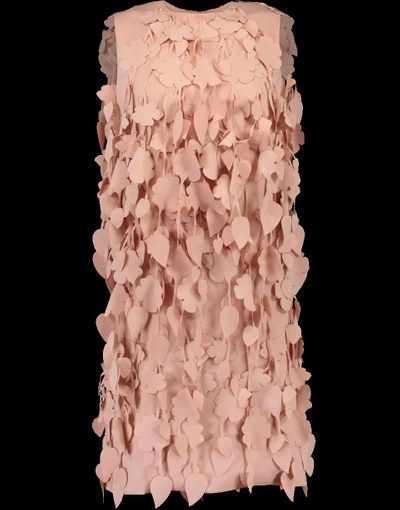 Shop Catherine Regehr Cherry Blossom Shift Dress In Blush