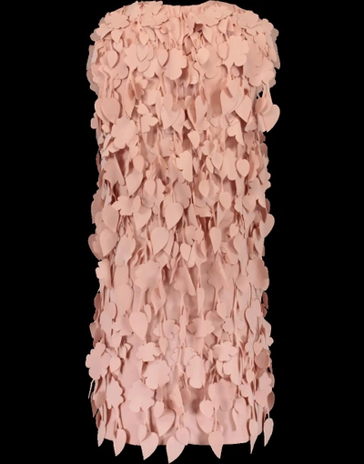Shop Catherine Regehr Cherry Blossom Shift Dress In Blush