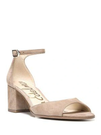 Shop Sam Edelman Susie Suede Sandals In Oatmeal